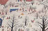 Winter Carnival